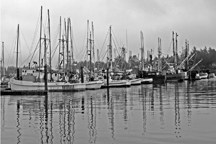 Charleston Harbor